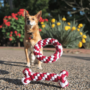 निर्माता उच्च गुणवत्ता वाली पालतू हड्डी और रिंग कपास रस्सी खिलौने प्रशिक्षण संवादात्मक कुत्ते के खिलौने प्रशिक्षण इंटरैक्टिव कुत्ते के खिलौने - Product Image 2