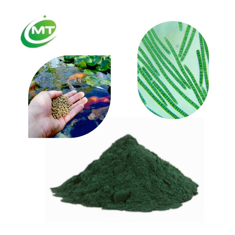 Factory Supply Natural Certificate Spirulina Protein