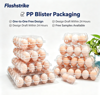 Boîte à lunch alimentaire personnalisable FlashStrike AA2 en PVC/PET avec emballage blister et options de conception de logo