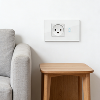 Zigbee 3.0 Smart Switch Timer-Funktion, 2-fach, 220 V, anpassbarer Zeitplan für automatische Morgen- und Nachtbeleuchtung
