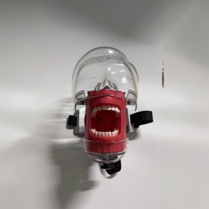 Maniquí de Cabeza con Dientes Realistas Profesionales, Componentes Metálicos de Acero Inoxidable para Prácticas de Blanqueamiento Dental - Product Image 1