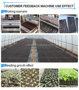 Semoir pneumatique pour plantation de graines de citrouille, machine à coudre des graines de repignons, oignon et citrouille - Product Image 6