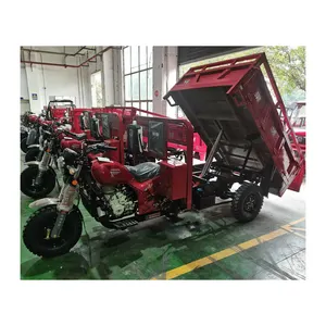 3-Rad-Benzinmotor Motorisiertes Benzin-Ladung-Dreifahrrad für Erwachsene
