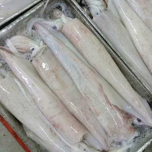 Cumi-cumi Loligo Beku Premium Utuh, Bersih, Berkualitas Tinggi, Hasil Panen Laut, Tekstur Kaya, Sempurna untuk Pembeli Internasional