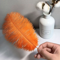 Usine Outlet Best-seller Artisanat 100% Plume 15-20cm Plumes d'autruche à tige fine pour la décoration et les fournitures de mariage