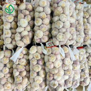 Solicitar presupuesto de verduras Liliáceas paquete pequeño 200g/250g/500g/1kg Alho Ajo ajo fresco elefante ajo para venta al por mayor - Product Image 6