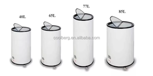 77L Vòng xi lanh tủ lạnh thương mại Mini hiển thị lạnh mát có thể với kính nắp - Product Image 2