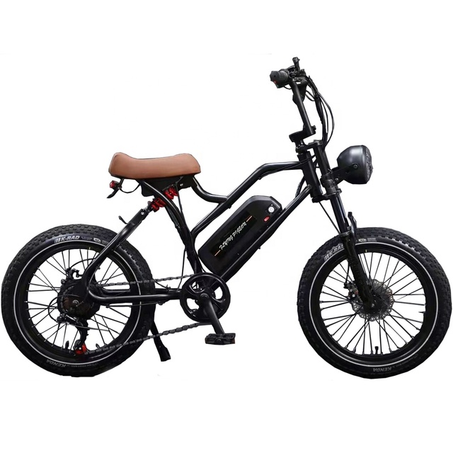 20 INCH USA WAREHOUSE Electric Bicycle With U/L[FP-EB2209(WT)]