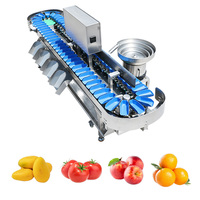 Sorteerlijn voor fruit en groenten |   Was-, droog- en sorteerinstallatie
