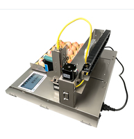Impresora Automática de Inyección de Tinta para Huevos, Nueva, de Grado Alimenticio, con Pantalla Táctil Industrial, Tinta Solvente, Impresora TIJ, 1 Año de Garantía