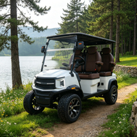 Voiturette de golf électrique Elite Edition 4 places avec peinture de carrosserie personnalisée et compartiment de rangement supplémentaire intégré