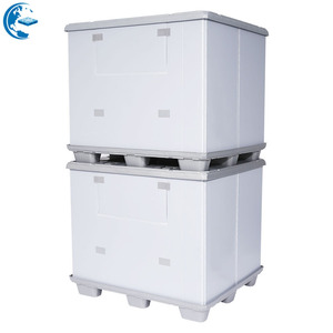 Short Delivery Time Collapsible Plastic Pallet Pack Container