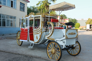 Carruaje Eléctrico de Cenicienta, de Acero, Personalizado, con Neumáticos de Caucho Sólido de Alta Calidad - Product Image 5