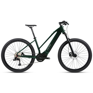 Bicicleta Eléctrica de Montaña para Adultos EM1 con Cuadro de Aleación de Aluminio, 10 Velocidades, 27.5 Pulgadas, Motor BAFANG de 48V 250W de Montaje Central, Batería de Litio de 15AH - Product Image 3