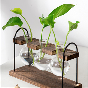 Desktop Hydroponic Glass Vase With Wooden Iron <b>Frame</b> For Pothos Plant Display Home Decor Eco Friendly - Product Image 1