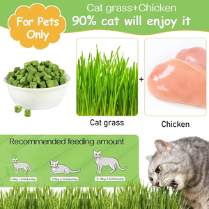 OEM chicchi di erba di gatto liofilizzati snack naturali per gatti da masticare per la pulizia dei denti e la rimozione della palla di capelli - Product Image 4