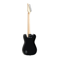 Gitar Elektrik Starsun CE-20R CCB Hollow Body 6-String, Top Spruce, Neck Maple, Fingerboard Ebony, Finishing Glossy, Single Pickup