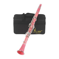 Professional Performance 17-Key Ring B-Grade Clarinet Woodwind Instrument Cloth Box