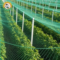 Filet anti-oiseaux en HDPE pour jardin, vente en gros, fabricant OEM, résistant aux UV, pour vergers et jardins agricoles