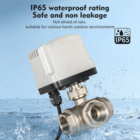 Vanne à boisseau sphérique motorisée électrique 3 voies IP65 étanche en acier inoxydable 304 220V/12V/24V 3W-1C pour irrigation eau froide et chaude OEM