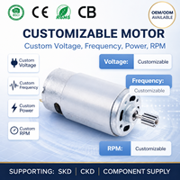 Moteur CC à aimant permanent NB WIDE 775 12V/36V 21000 BPM pour pièces de rechange de sèche-cheveux avec commutation par balais