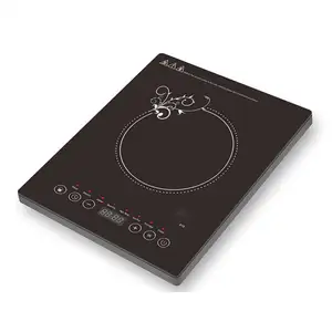 Hot Selling With Low Price Household 12V Battery Powered Induction Cooker