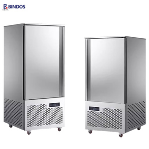 Congelador Comercial de Ultra Baja Temperatura para Congelación Rápida de Mariscos a -40 Grados, Refrigerador Vertical para Cocina Industrial - Product Image 1