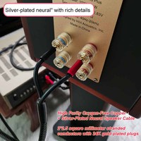 Câble haut-parleur 2 bananes vers 2 bananes audio Hifi Conducteur en cuivre plaqué or 2U 14AWG gaine en PVC sans oxygène compatible avec les microphones