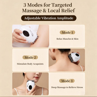 Nouveau 2026 Mini Masseur Facial 2-en-1 avec Planche de Grattage et Brosse Méridienne, Chauffant, Alimenté par USB