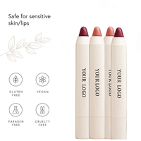 Échantillon gratuit usine vente en gros marque propre crayon à lèvres mat imperméable longue durée pour le maquillage quotidien des lèvres