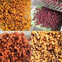 Hochwertige Mango Dicer Würfel maschine Getrocknete Kiwi Obsts chneide maschine Palm Dates Cutter Getrockneter Obsts ch neider
