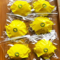 Jouet sensoriel anti-stress en silicone OEM/ODM en forme de citron mignon, idéal pour les fêtes et la relaxation