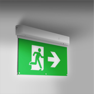 Venta caliente CE IP20 220V LED Señal de salida Directo de fábrica 30M Iluminación DE EMERGENCIA Oriente Medio - Product Image 4