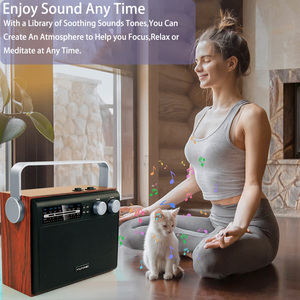 Cổ Điển Chi Phí Hiệu Quả Nhà Máy Mới Nhất Phiên Bản Bluetooth Loa Cổ Điển Loa Bằng Gỗ Cổ Điển Với Âm Phong Phú Kinh Nghiệm - Product Image 5