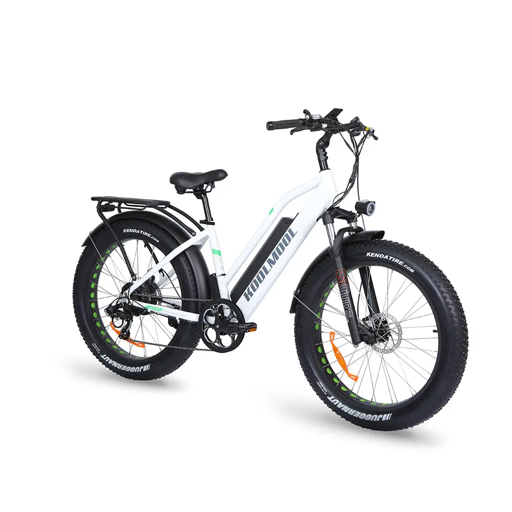 도시 48V 500W/750W 바닷가 함 눈 Ebike 뚱뚱한 타이어 자전거 전기 자전거를 통해서 고전적인 숙녀 24 인치 단계