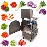 Ervarangetrouwd 	 Commerciële machine voor het snijden van lente-ui, kool, aardappel, komkommer en andere groenten 	 Fruitverwerkingsmachine