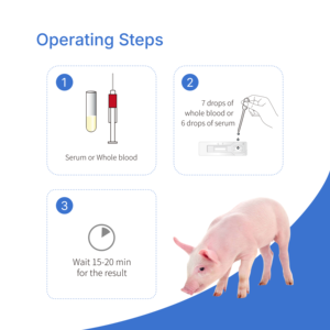 Rapid Test Kit for Classical Swine Fever Virus <strong>Antibody</strong> <strong>Detection</strong> Veterinary Instrument for Pig CSFV Ab - Product Image 3