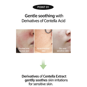 โฟมล้างหน้าใบบัวบก - ทำความสะอาดผิวอย่างอ่อนโยน ปลอบประโลมและปรับสมดุล เหมาะสำหรับผิวแพ้ง่าย ขจัดสิ่งสกปรกโดยไม่ทำให้ผิวแห้งตึง - Product Image 4