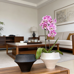 <span class=keywords><strong>Vaso</strong></span> per orchidee rosa, fioriera per orchidee per decorazioni interne, <span class=keywords><strong>vaso</strong></span> per fiori per soggiorno - Product Image 6