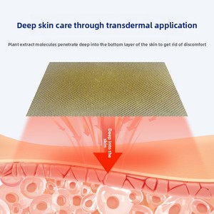 工場直送 漢方ハーブ配合 綿製関節痛緩和プラスター 関節炎用 深層皮膚浸透 適用部位限定 医薬品作用 OEMブランド - Product Image 4