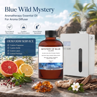 Produit Tendance 2026 Huiles Essentielles Diffuseur d'Huile Sans Eau Mystère de l'Eau Bleue Parfum d'Ambiance Aromatique pour la Maison