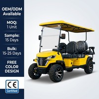 Voiturette de golf à essence 6 places, moteur 300 cm³ 4 temps refroidi par eau, 45 km/h, propulsion arrière, pneus tout-terrain 14 pouces, OEM/ODM, buggy de golf personnalisé