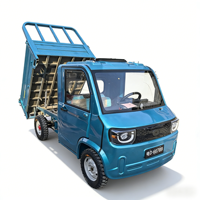 Camionnette électrique certifiée EEC à 4 roues et 2 portes, un mini-camion adapté à l'agriculture et à l'usage domestique