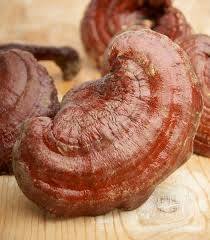 Hongo Reshi Rojo Orgánico, Forma Entera, de Vietnam, Vacaciones - Product Image 6