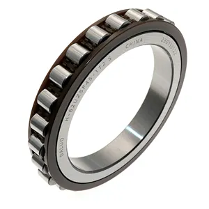 DALUO H-62UZSF45-1T2 S 62x85.5x12.45 Single Row Cylindrical Roller Bearing Eccentric Roller Bearing