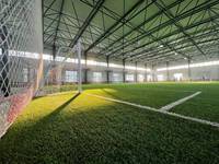 Gazon artificiel pour terrain de football, pelouse verte en polyéthylène, revêtement de sol sportif durable