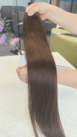 Extensions de cheveux humains Remy vietnamiens non traités, tissage double machine, pour tresses, vente en gros, couleur claire, lot beauté EA