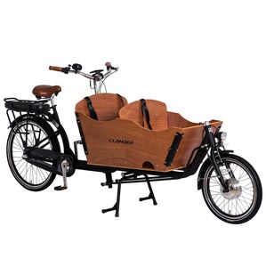 <strong>Nexus</strong> 3 Speeds Cargo 2021 Clamber Cargo Bike Bike Bicycle Electric for Adult Brand 2 Wheel Steel Lithium Battery <strong>LCD</strong> Brushless - Product Image 4