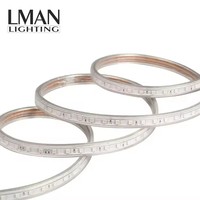 Paysage extérieur super lumineux allumant la lumière de corde de RVB LED SMD5050 60LEDS/M 12 W/M bande de lumière de RVB LED