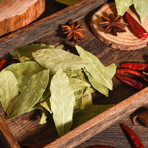 Zhengzhonghe Natuurlijke Kruiden Gedroogd Laurierblad Hele Laurierblaadjes Uit Guangxi China-24 Maanden Houdbaar Om Te Koken - Product Image 6